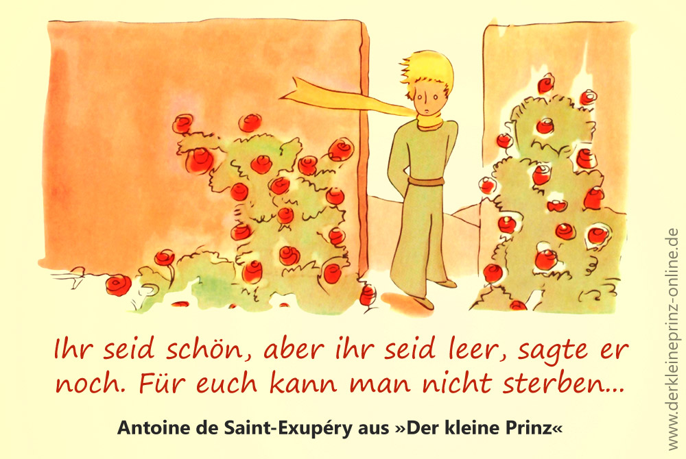 Zitate Sprüche Antoine De Saint Exupérys Der Kleine Prinz